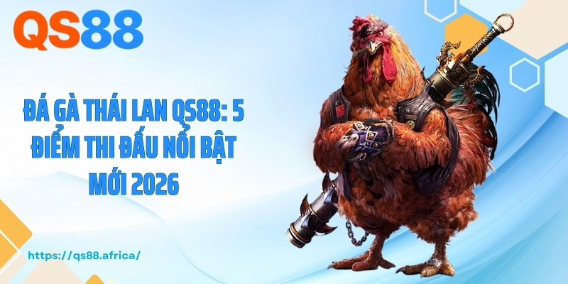 Đá Gà Thái Lan QS88: 5 Điểm Thi Đấu Nổi Bật Mới 2026